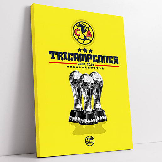 cuadro club américa 11